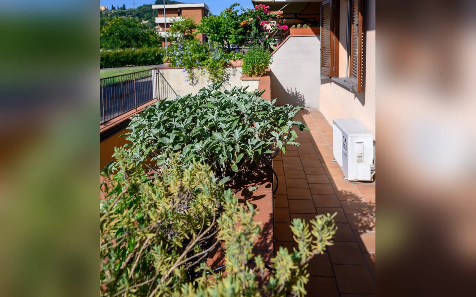 La Medicia Homes, 