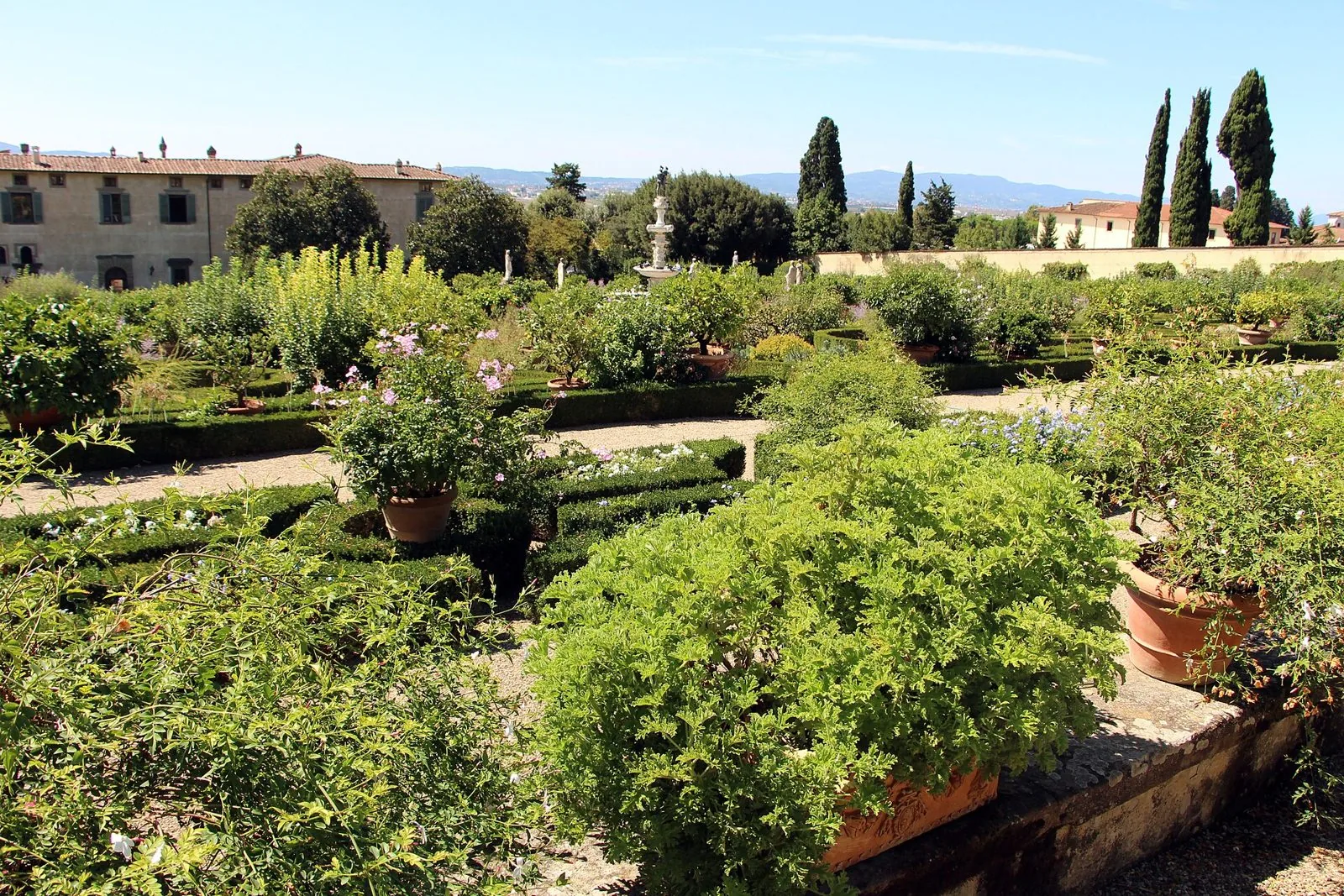 Aiuole di bosso, agrumi in vaso e la fontana di Ercole e Anteo nel giardino della Villa medicea di Castello